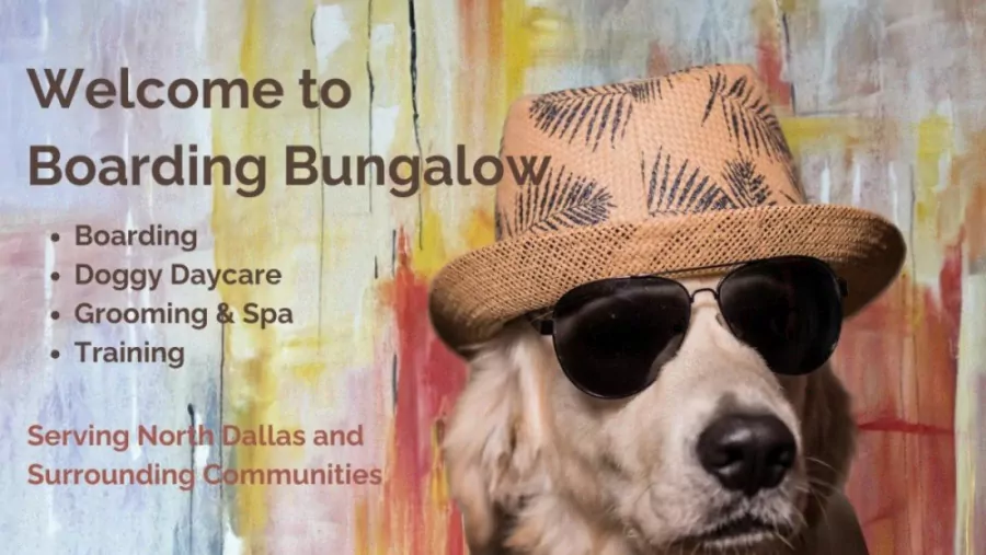 Boarding Bungalow Plano