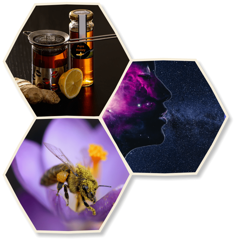 33 Bees Pure Honey For Sale Crossville TN 38571